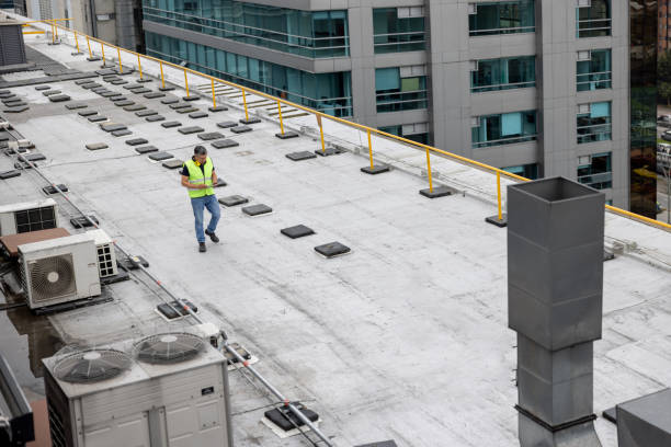 Best Emergency Roof Repair  in Lauderdale, MN