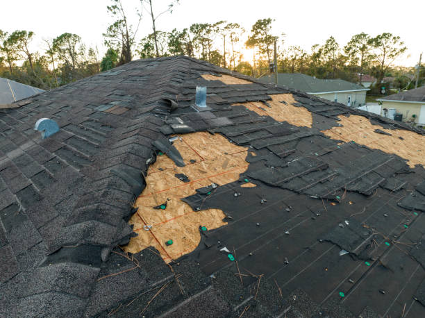 Best Cold Roofs  in Lauderdale, MN