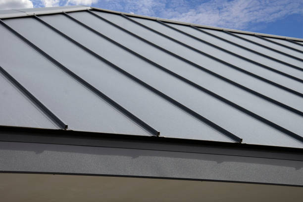 Best Gutter Replacement  in Lauderdale, MN
