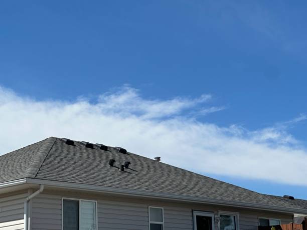 Best Rubber Roofing (EPDM, TPO)  in Lauderdale, MN